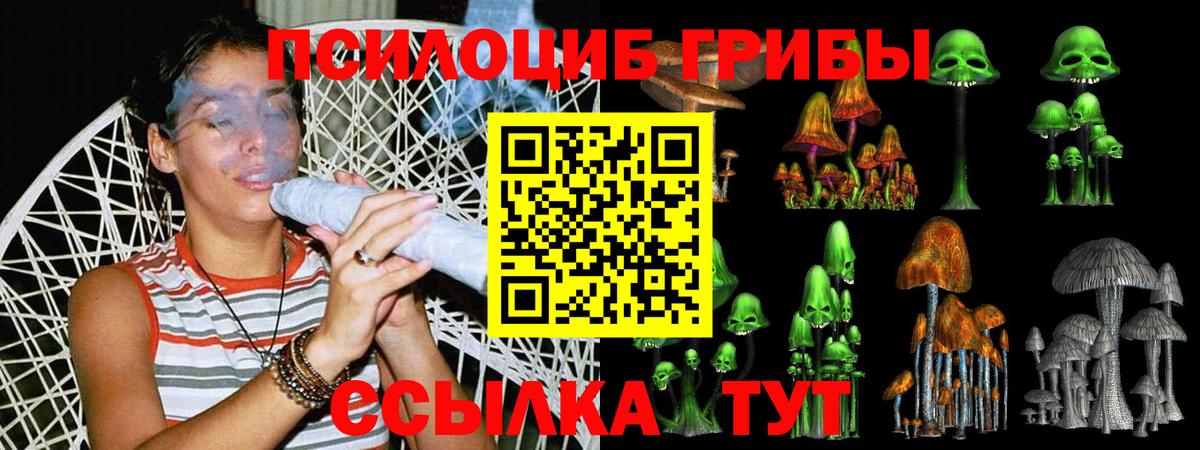 Псилоцибиновые грибы Magic Shrooms Нальчик